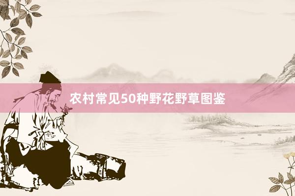 农村常见50种野花野草图鉴